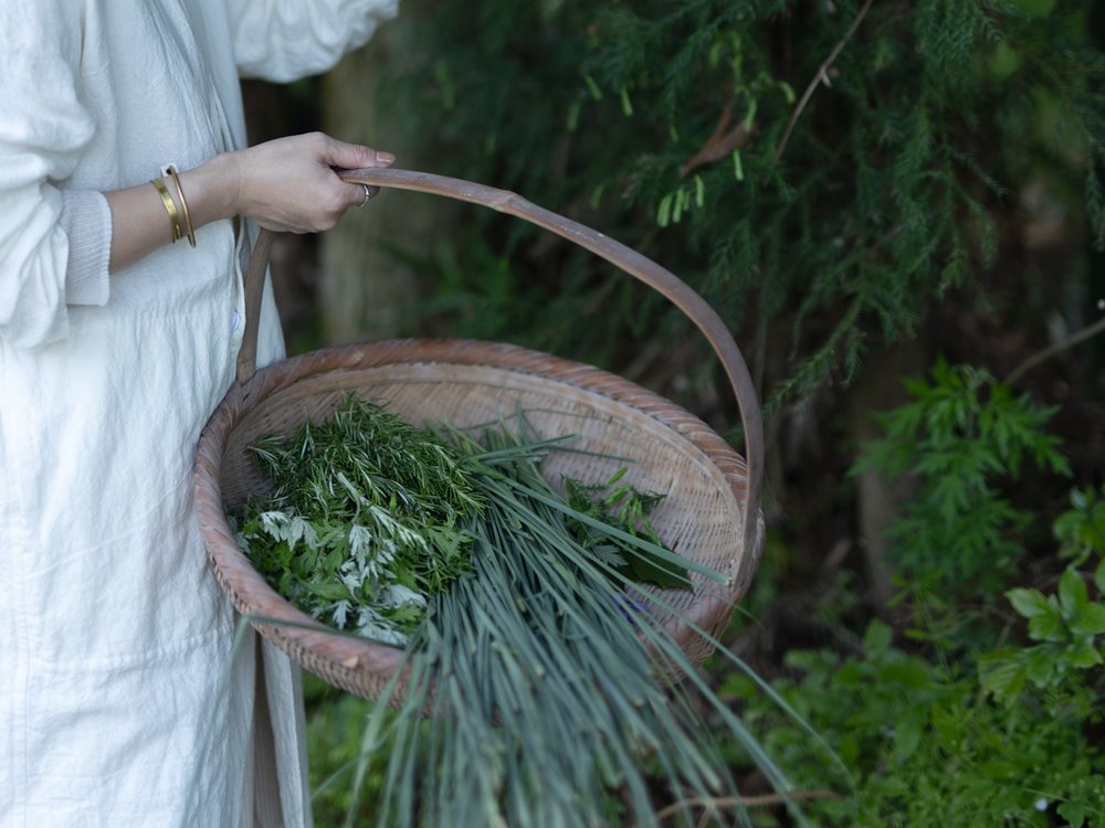 摘んだ植物をかごに入れて運ぶ